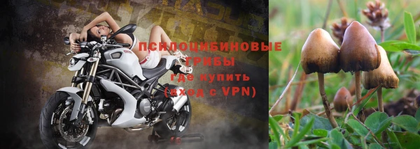 первитин Абаза